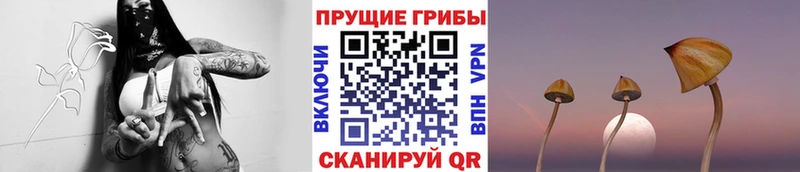 Псилоцибиновые грибы мухоморы  Купить закладки  Карасук 