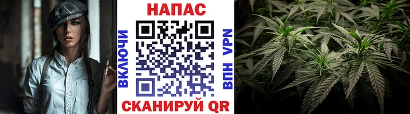 Купить  Карасук  Конопля MAZAR 